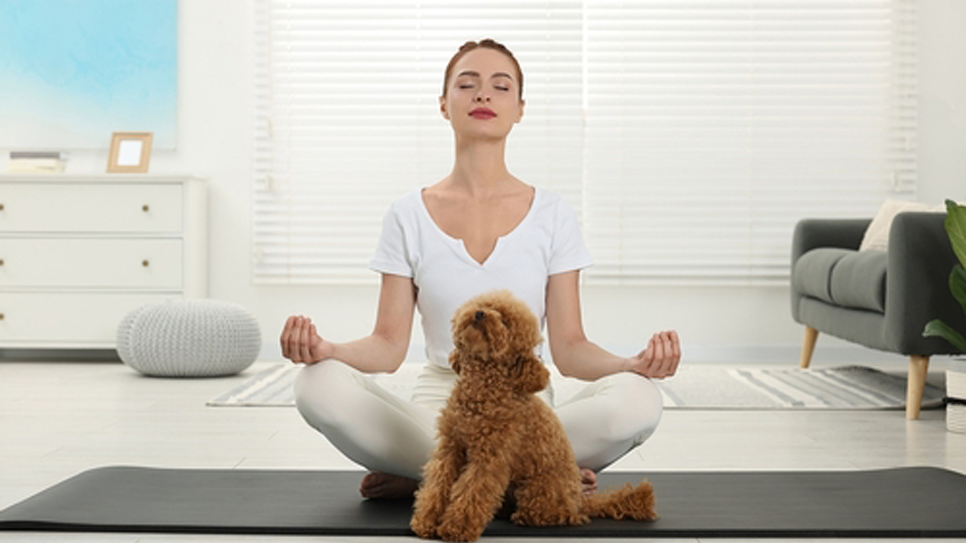 Operatore Relazionale (Mindfulness)