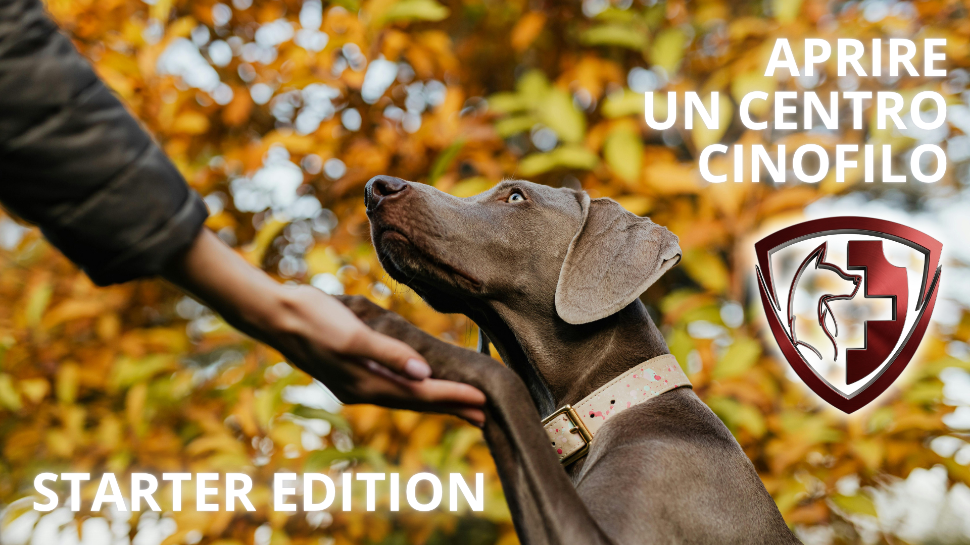 Aprire un Centro Cinofilo - Starter Edition (SDSF)