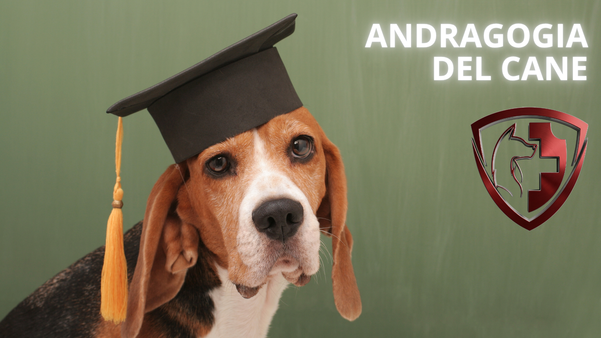 Andragogia del Cane (SDSF)